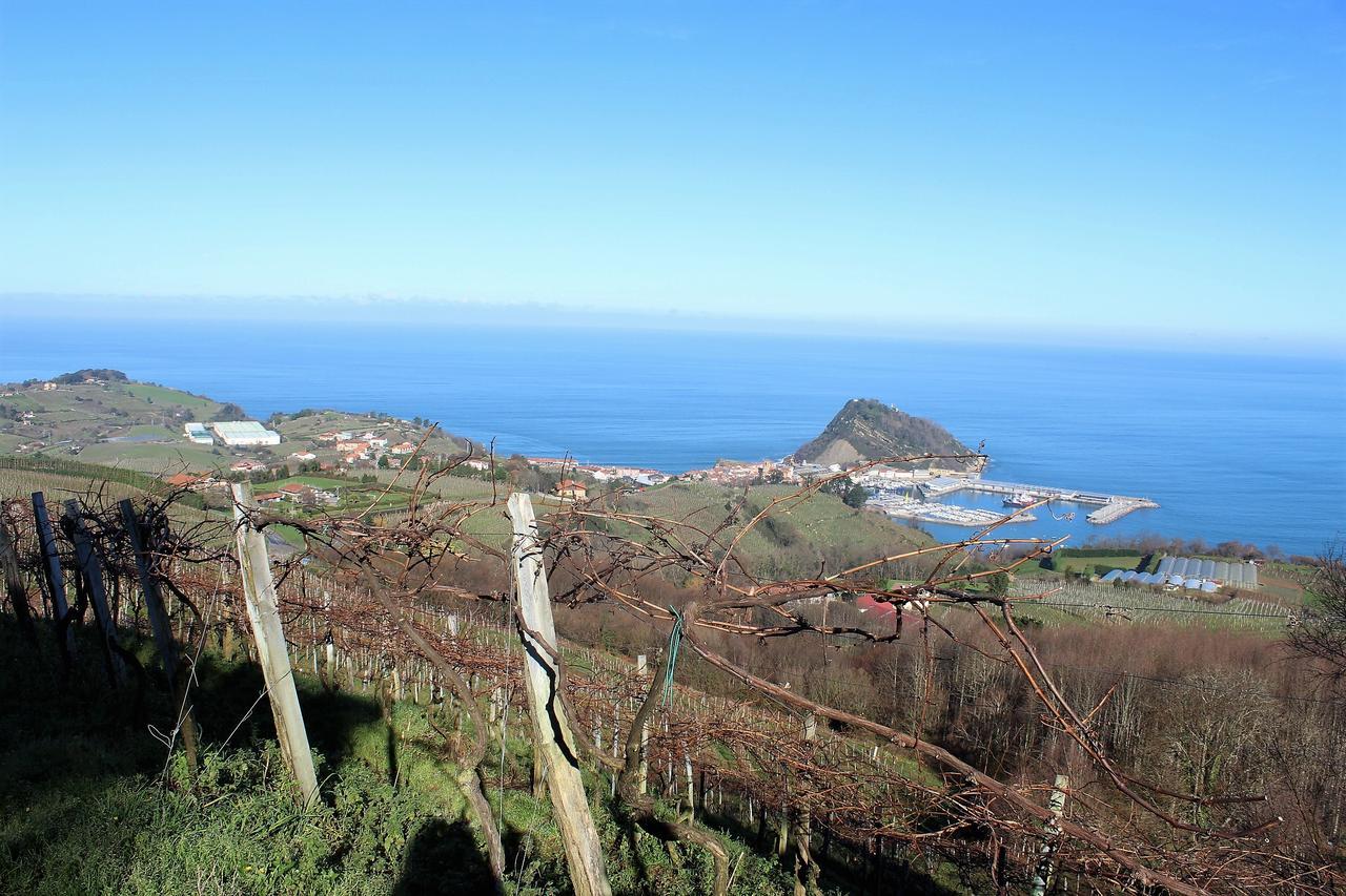 Gazteategi Bed & Breakfast Zarautz Bagian luar foto